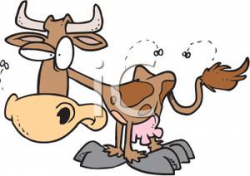 Cartoon Cow With Flies - Royalty Free Clipart Picture