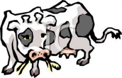 A Colorful Cartoon of a Cow Chewing Cud - Royalty Free Clipart Picture