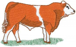 Simmental Cow Embroidery Designs, Machine Embroidery Designs at ...