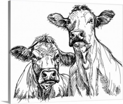 Two Cows | Art | Pinterest | Cow, Draw and Sketches