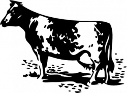 Free Standing Cow Clipart and Vector Graphics - Clipart.me