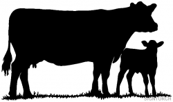 Cattle clipart cow calf - Pencil and in color cattle clipart cow calf