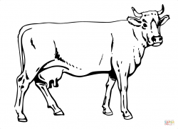 Cow Line Drawing at GetDrawings.com | Free for personal use Cow Line ...