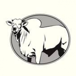 Zebu Cattle Clip Art - Royalty Free - GoGraph