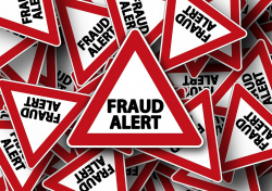 What Is the Penalty for Internet Scams? | Federal Criminal Law