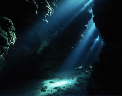120 best Ocean Diorama images on Pinterest | Underwater caves, Ocean ...