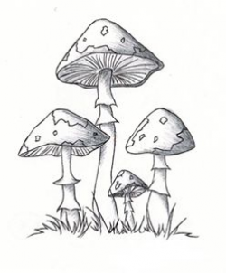 mushroom clipart | Mintaképek | Pinterest | Mushrooms, Doodles and ...