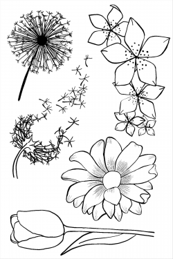 The Images Collection of Clipart black and white tree springtime ...