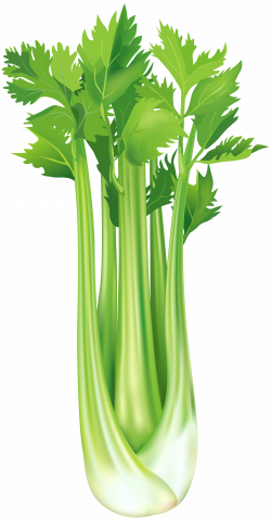 Celery Free PNG Clip Art Image | Gallery Yopriceville - High ...
