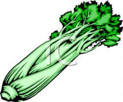 Bunch of Celery Clipart Image - foodclipart.com