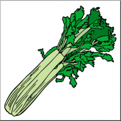 Clip Art: Celery Color I abcteach.com | abcteach