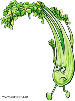 Celery Cartoon Celery Cartoon, free to use cartoon of celery by ...