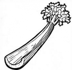 Beautiful Of Celery Clipart Black And White - Letter Master