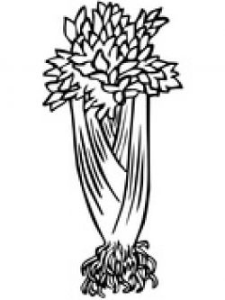 Celery coloring pages | Free Coloring Pages