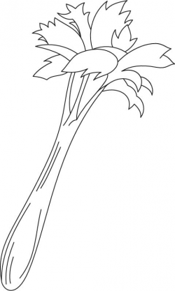 Celery Plant Coloring Page - slimaster.info