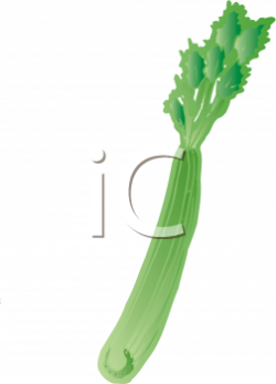 Realistic Celery Clipart Image - foodclipart.com