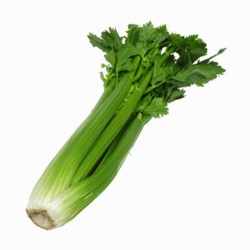 Awesome Celery Clipart Gallery - Digital Clipart Collection