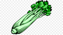 Celeriac Vegetable Food Clip art - Celery Stick Cliparts png ...