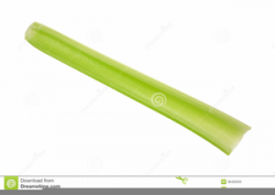 Celery Stalk Clipart | Free Images at Clker.com - vector ...