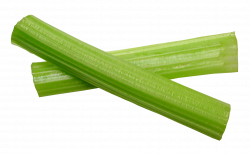 Celery Sticks PNG Image - PurePNG | Free transparent CC0 PNG Image ...