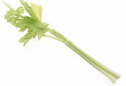Free Celery Clipart - Clip Art Image 4 of 5