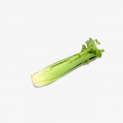 Celery Ye Qincai, Celery Leaf, Celery Sticks, Celery PNG Image and ...