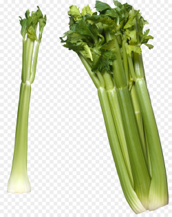 Celery Raw foodism Vegetable Celeriac Clip art - Celery png download ...