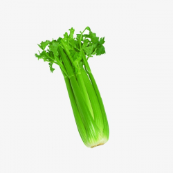 Celery, Vegetables, Celery Clipart PNG Image and Clipart for Free ...