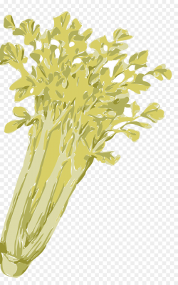 Download Celery clipart Celeriac Vegetable Clip art ...