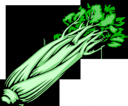 Collection of Celery clipart | Free download best Celery ...