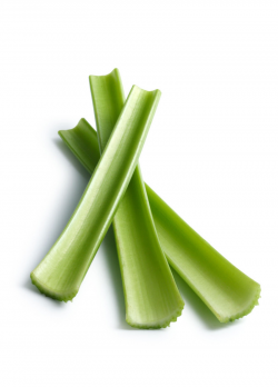 Image - Celery.jpg | The Gaming Family Wiki | FANDOM powered by Wikia
