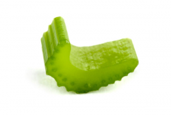 Slice of celery - stock photo free