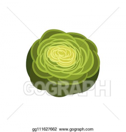 EPS Vector - Celery slice on white background. green ...
