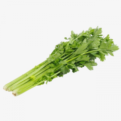 Vegetables,celery,transparent, Celery, Parsley, Green PNG Image and ...