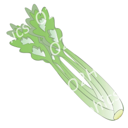 Green Celery Clipart, Vegetable Clipart, Vector Scrapbooking, PNG ...