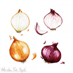 Watercolor Food Clipart - Celery, leek and spring onions - Buy this ...