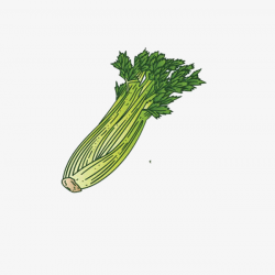 Hand Painted Celery Leaves, Hand, Green, Celery Leaf PNG Image and ...