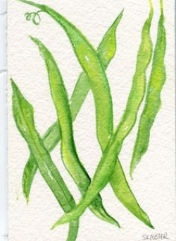 Celery Painting watercolor Vegetable Series, 4 x 6 Original, food ...