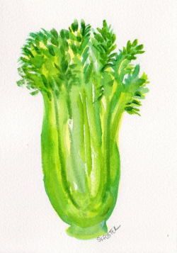 Celery Painting watercolor Vegetable Series, 4 x 6 Original, food ...