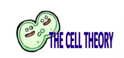 Cell Theory Webquest - Home