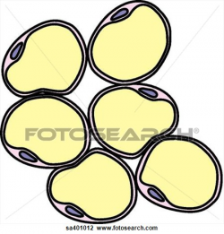 Clip Art - Fat cells take in | Clipart Panda - Free Clipart Images