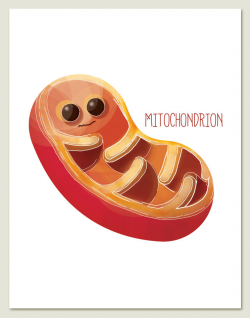 28+ Collection of Cute Cell Drawing | High quality, free cliparts ...