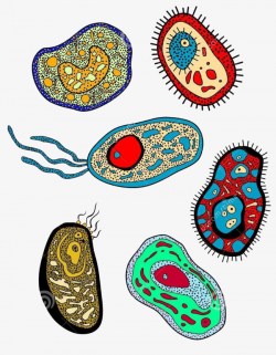 Cute Color Biomedical Cell Hand Drawing, Color, Miniature, Cell PNG ...