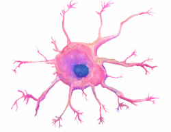 BRYAN JONES: Dendritic Cell Illustration