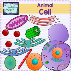 Plant and Animal Cell organelles and tissues clipart {Science clip art}