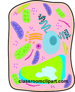 Search Results for plant cell clipart - Clip Art - Pictures ...
