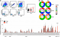 Single-Cell and Deep Sequencing of IgG-Switched Macaque B Cells ...