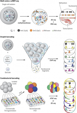 Single-cell epigenomics: Recording the past and predicting the ...