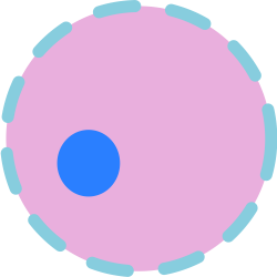 File:Cell nucleus.svg - Wikimedia Commons