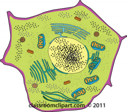 Science Clipart- cell-animal-nucleus-golgi-body - Classroom Clipart